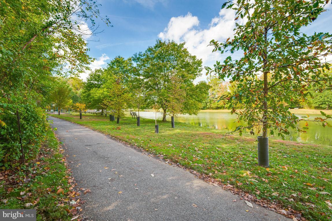 BOWIE TOWERS - Residential