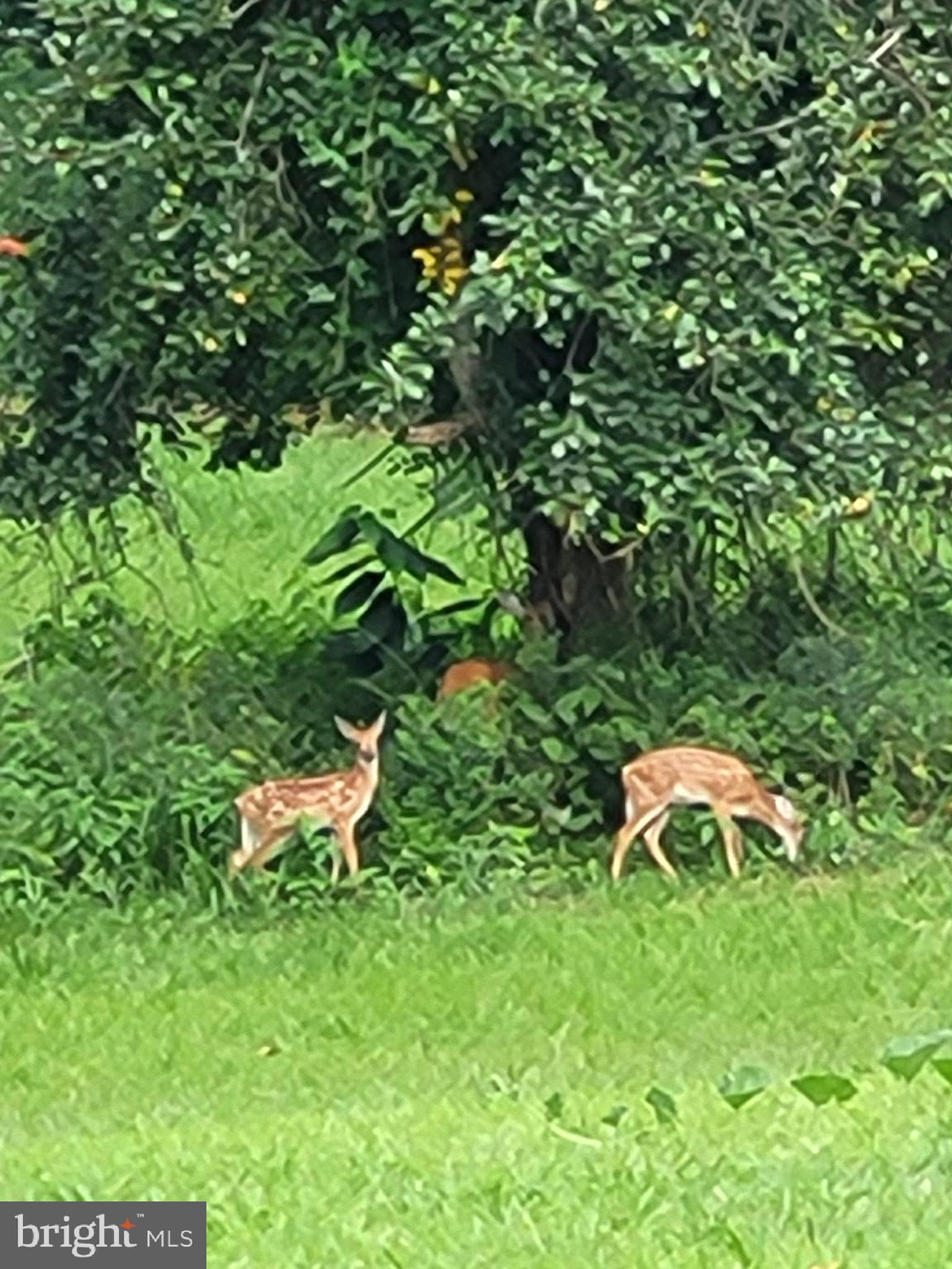 POTOMAC DISTRICT - Residential