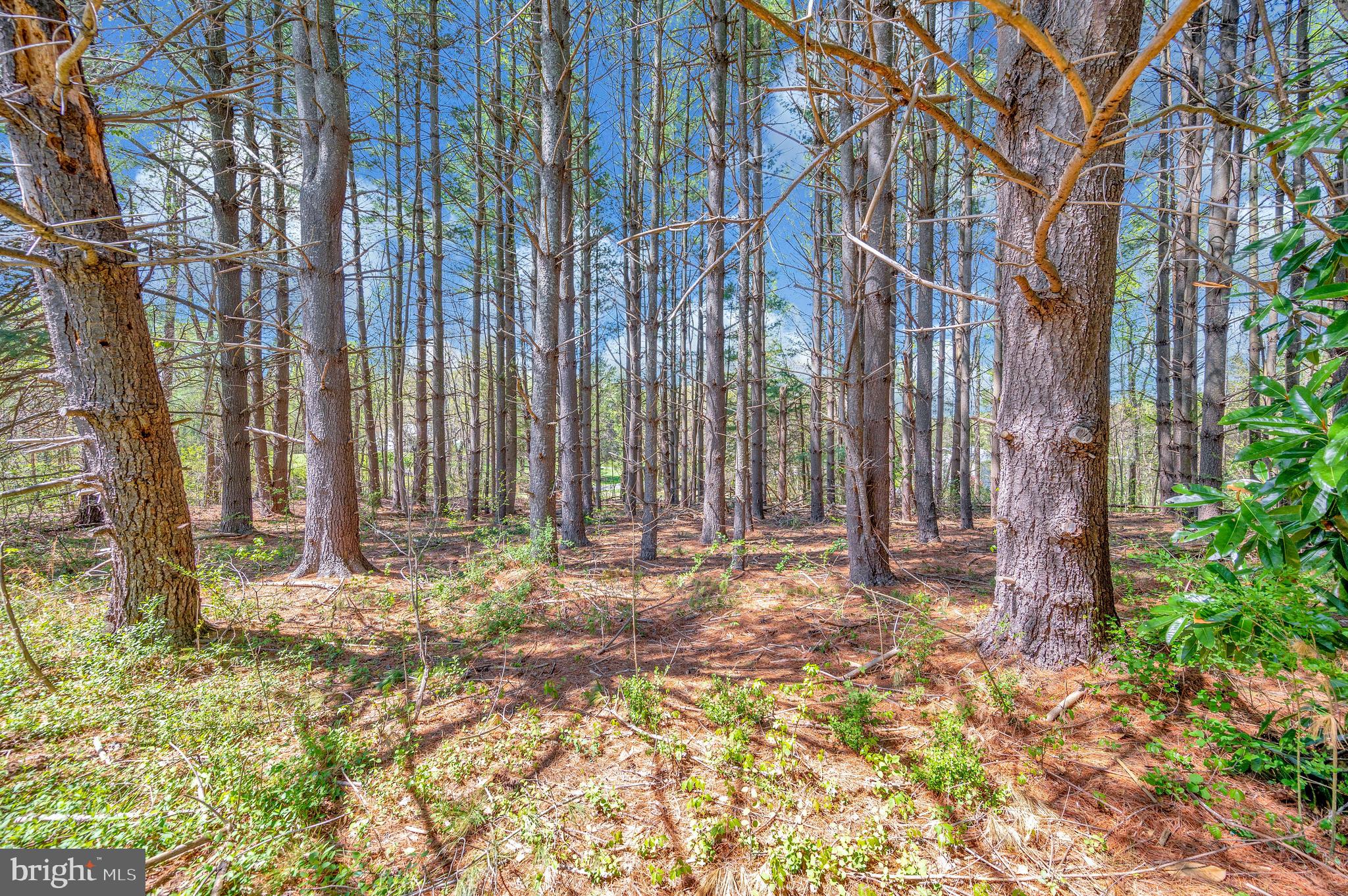 POTOMAC DISTRICT - Residential