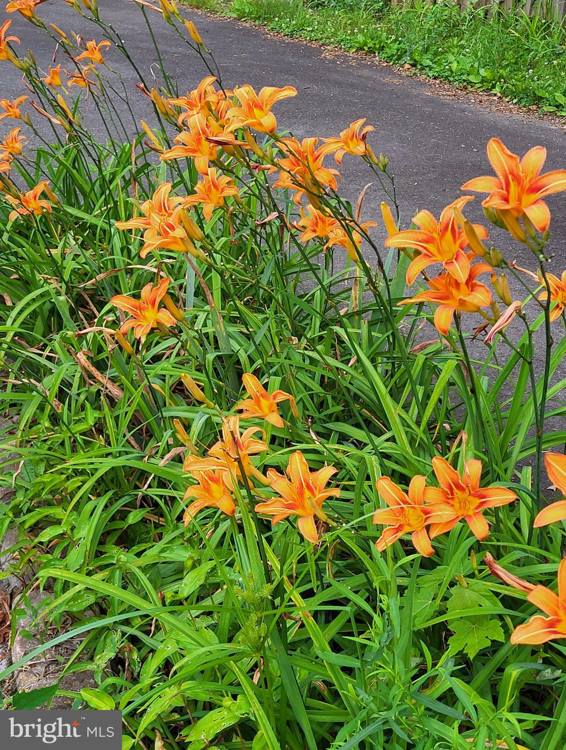 POTOMAC DISTRICT - Residential