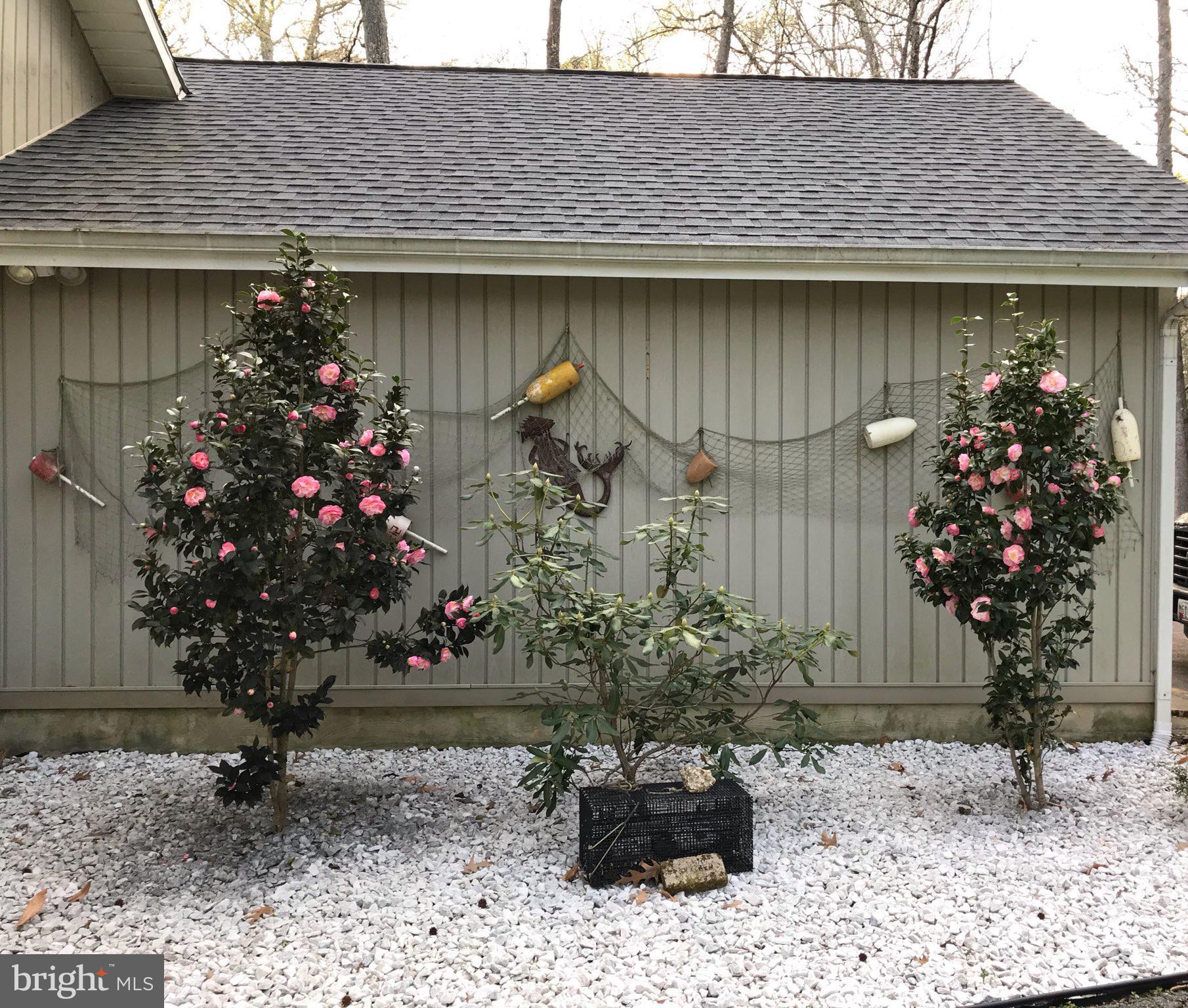 DUTCHMANS COVE - Residential