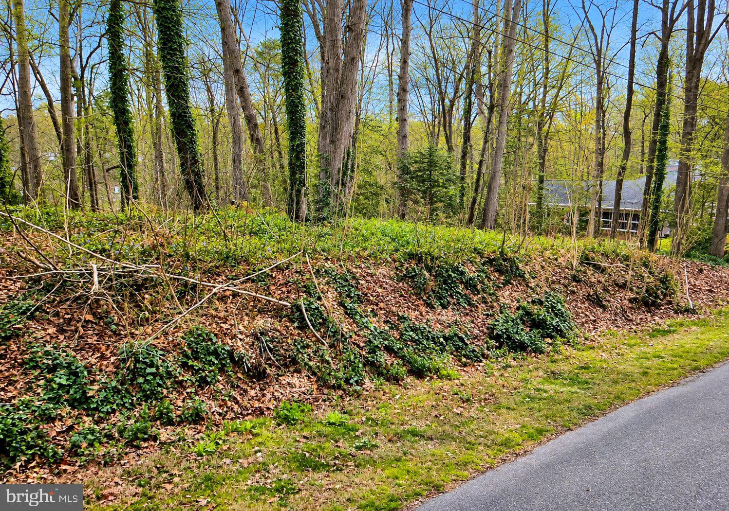 HAMPTON DRIVE