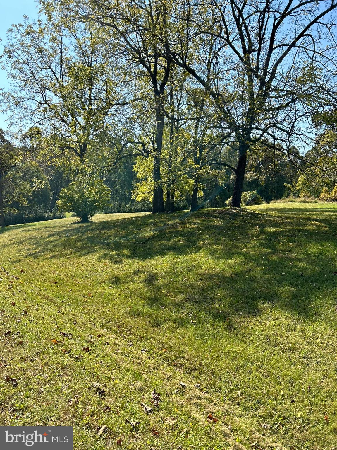 QUEEN ANNE ESTATES - Land