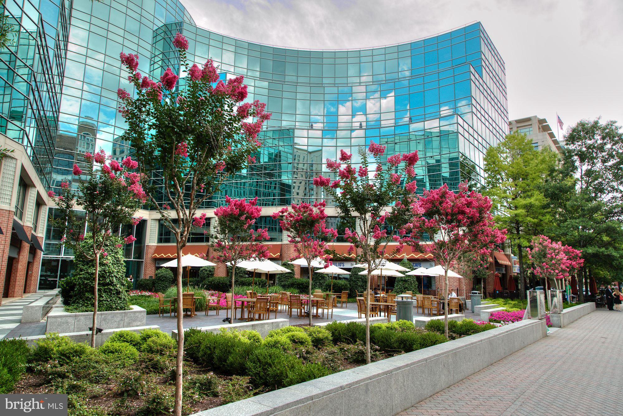 BALLSTON - Residential Lease