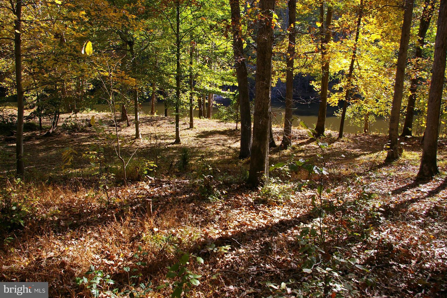 OCCOQUAN RIVER HILLS - Land