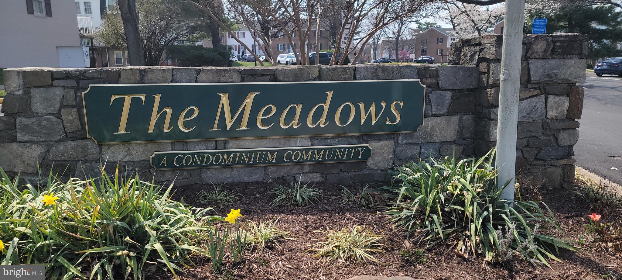 THE MEADOWS - Residential