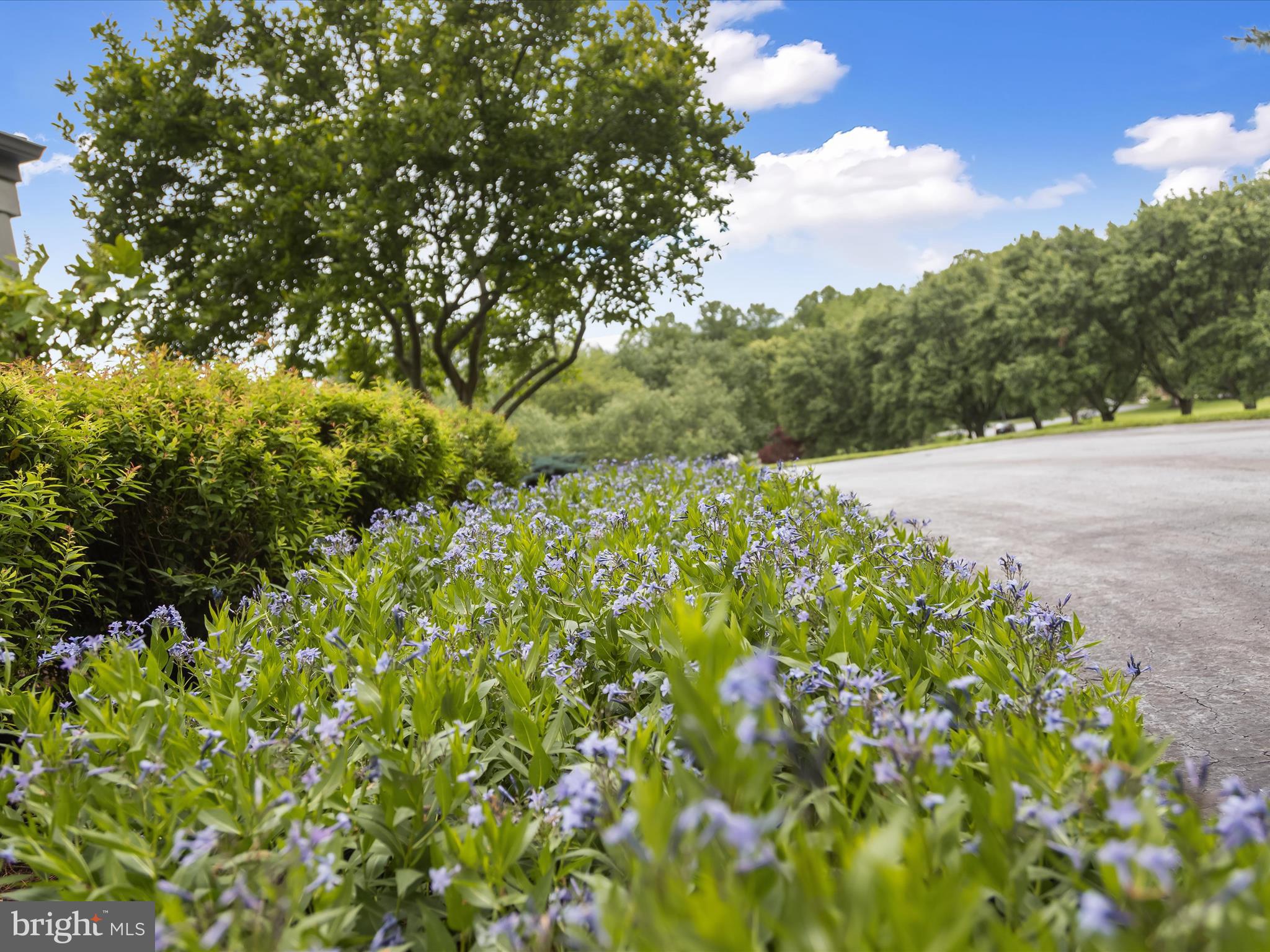 GAITHER FARM - Residential