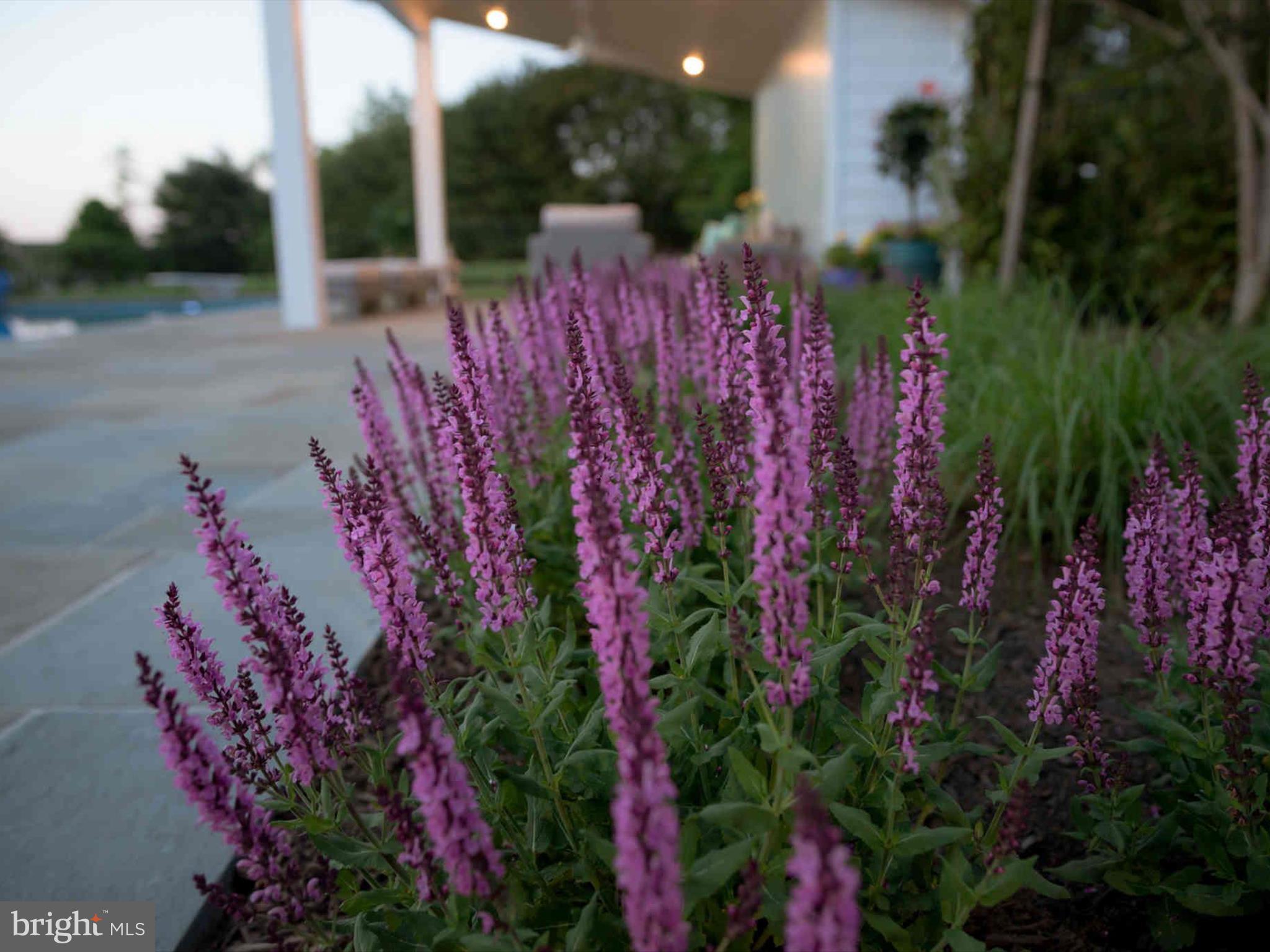 GAITHER FARM - Residential