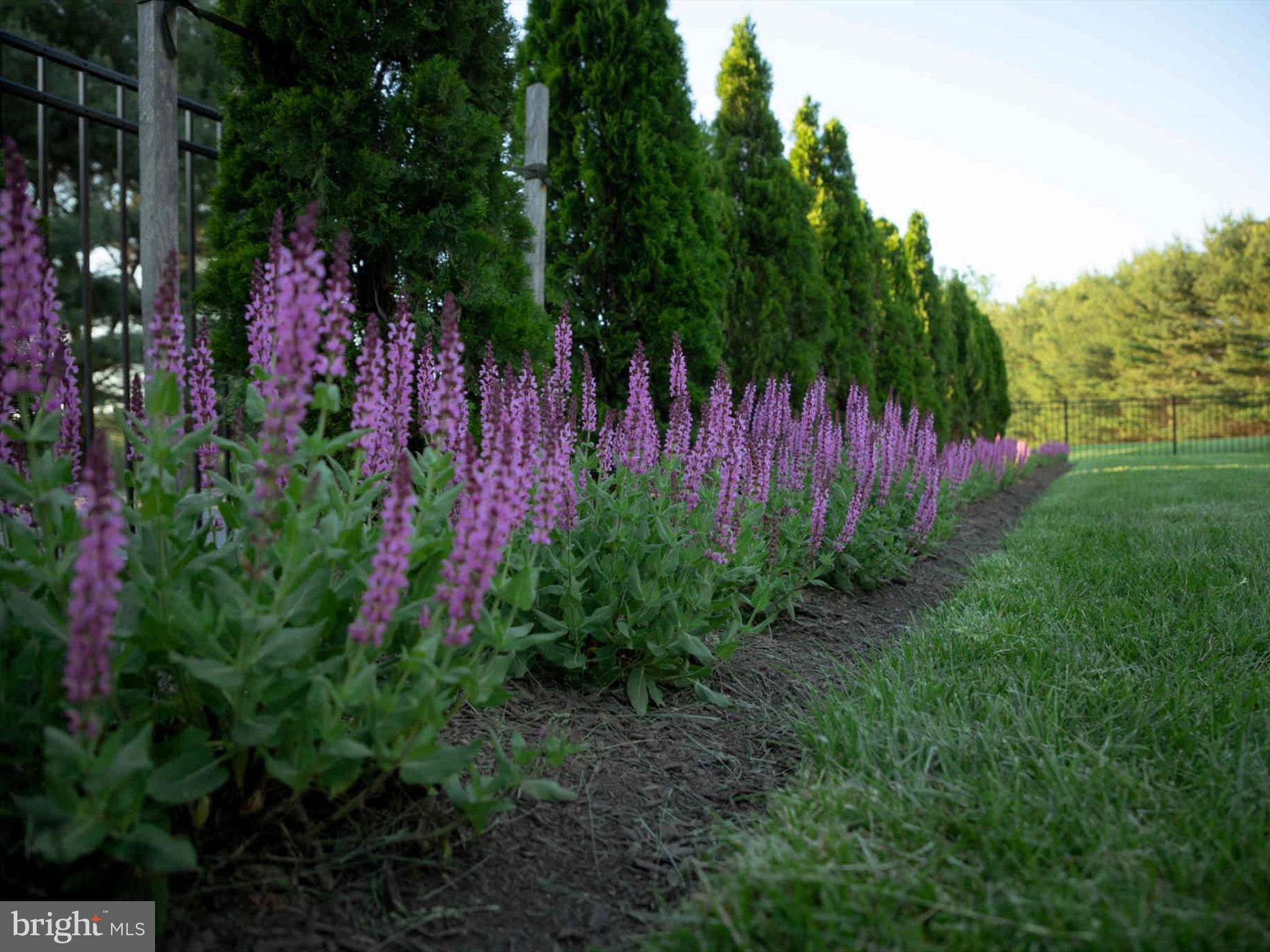 GAITHER FARM - Residential