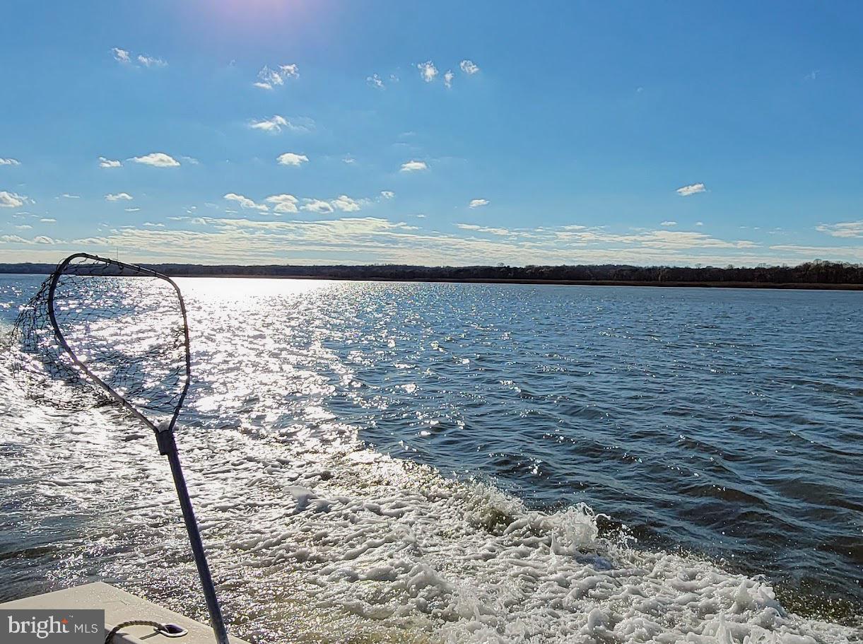 SHORES OF CALVERT - Residential
