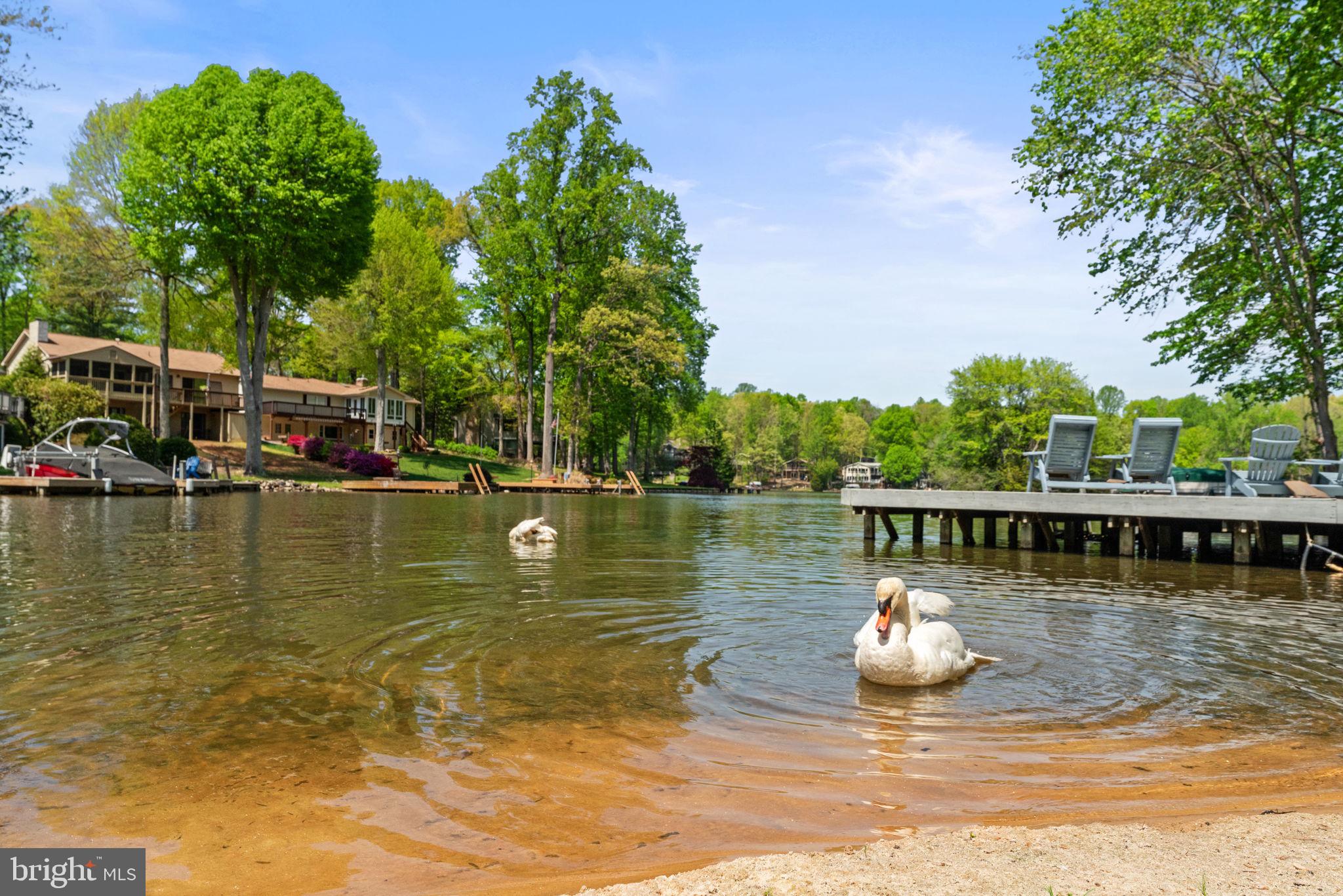 LAKE OF THE WOODS - Residential