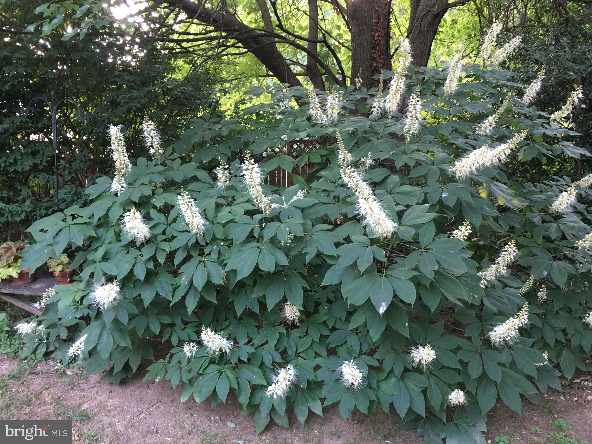 CHARTWELL ON THE SEVERN - Residential