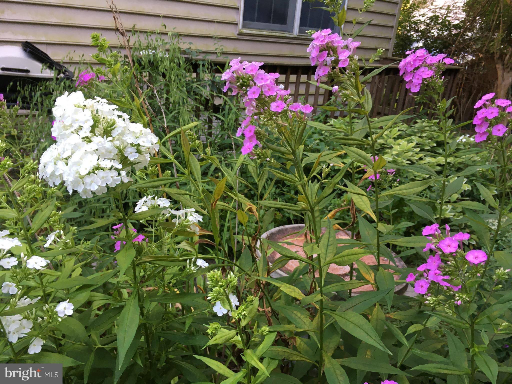 CHARTWELL ON THE SEVERN - Residential