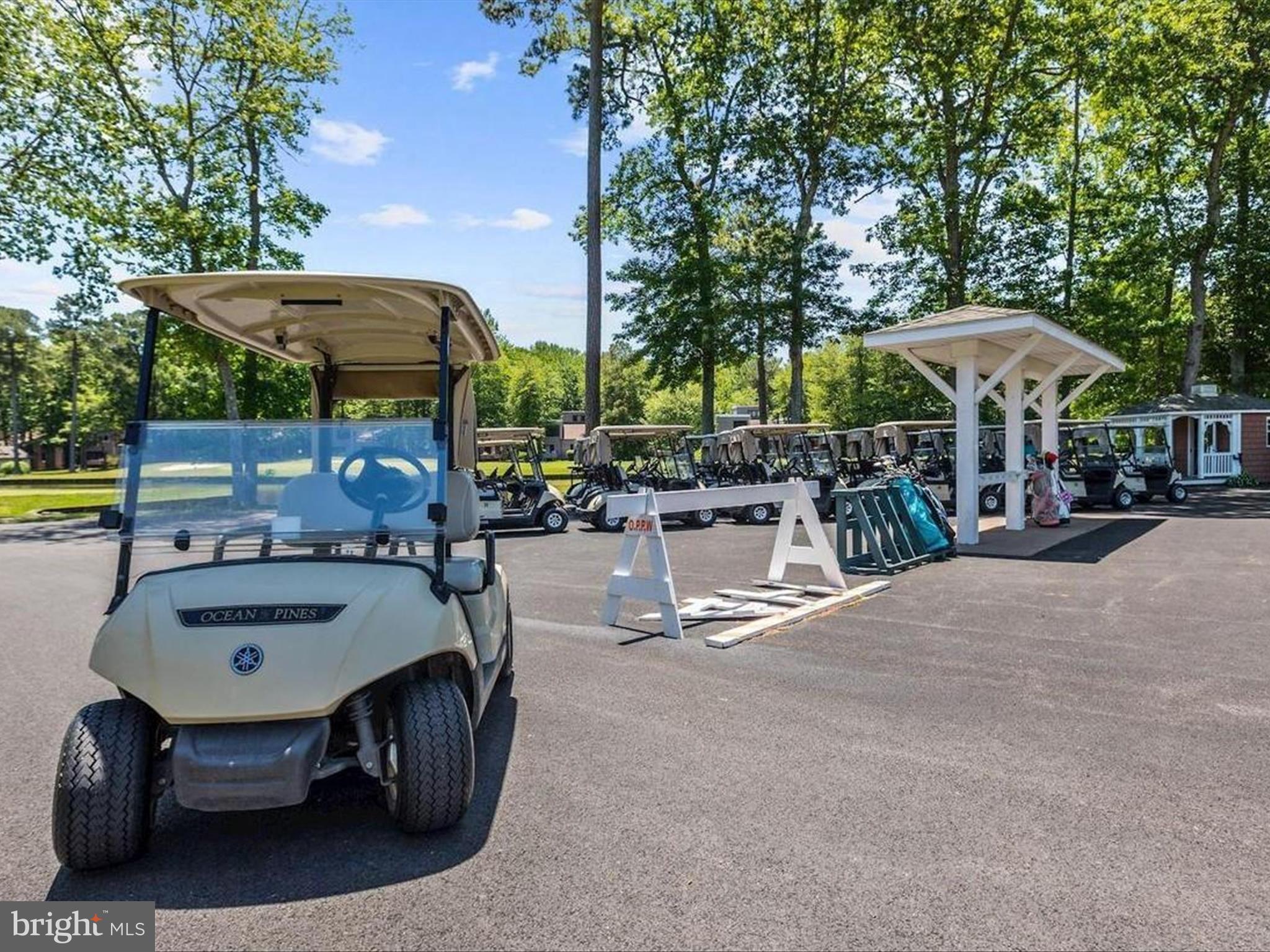 OCEAN PINES - PINEHURST - Residential