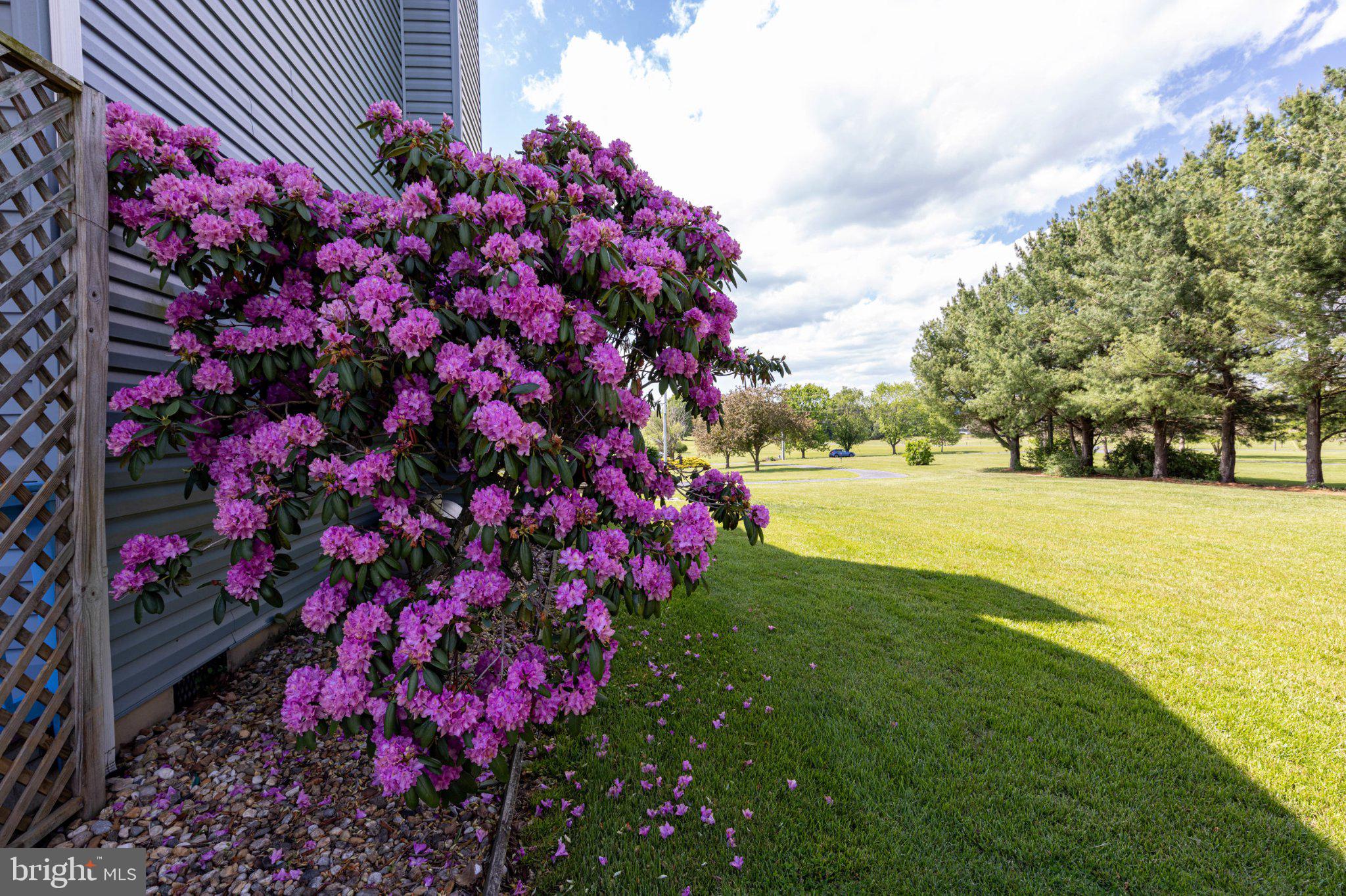 NORTH FORK FARMS - Residential