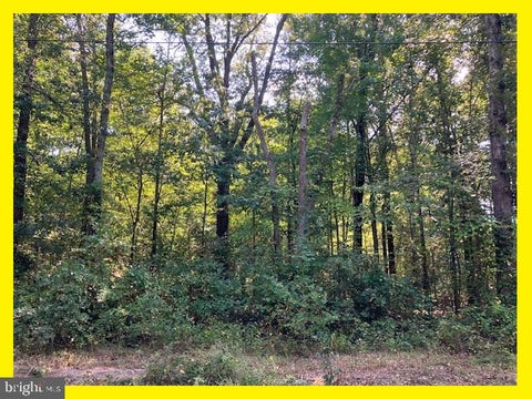 Vacant Land For Sale - Upland Drive<br/> Saint Marys County, BUSHWOOD, MD 20618