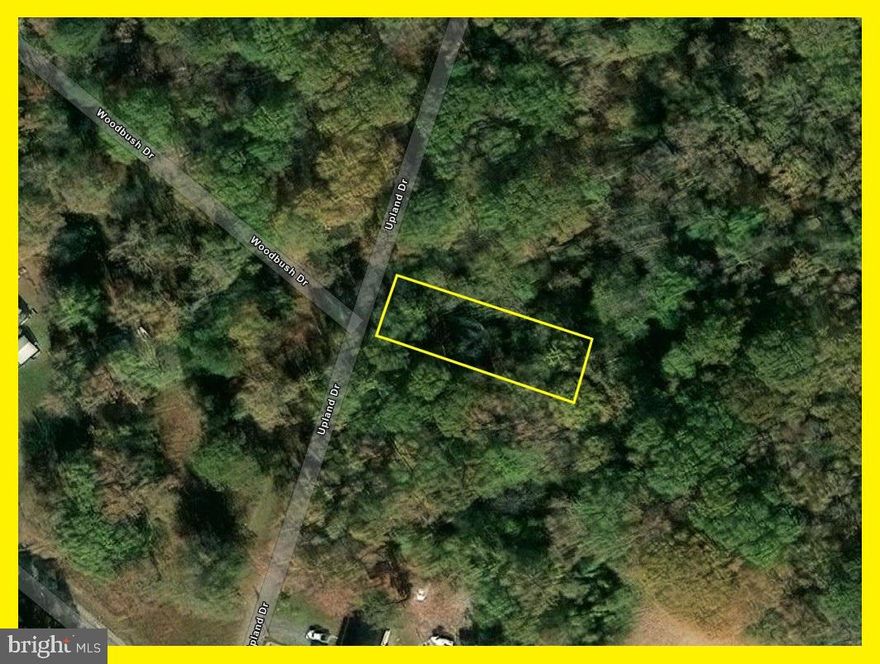 Private and wooded! Make an offer on this residential lot before it’s too late! Located in the friendly and welcoming waterfront community of Longview Beach, this .27-acre lot is ready for clearing and a perc test. Longview Beach property owners who are up-to-date with the modest yearly HOA dues are granted access to community amenities, including the beach, boat ramp, fishing pier, basketball and tennis courts, playground and picnic areas, and discounted clubhouse rental rates. Grab a bite to eat at Longview Beach’s delicious Water View Inn while you enjoy spectacular views of the Wicomico River from the back deck! Listing Agent is also the owner of the property. Ask about other parcels available in the neighborhood. Property to be conveyed as-is. Buyer to perform due diligence and verify all information. Don’t miss this great opportunity to own a fantastic potential building lot, access amenities, diversify your investment portfolio, and become part of a wonderful community!