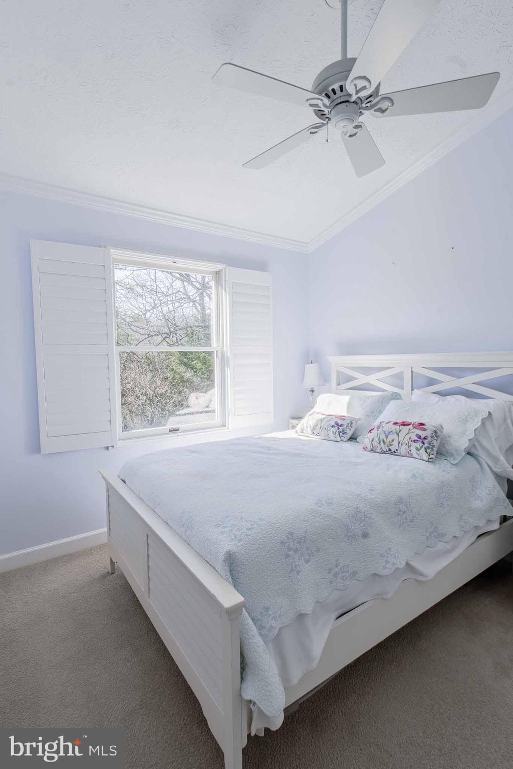 CHESTNUT HILL COVE - Residential