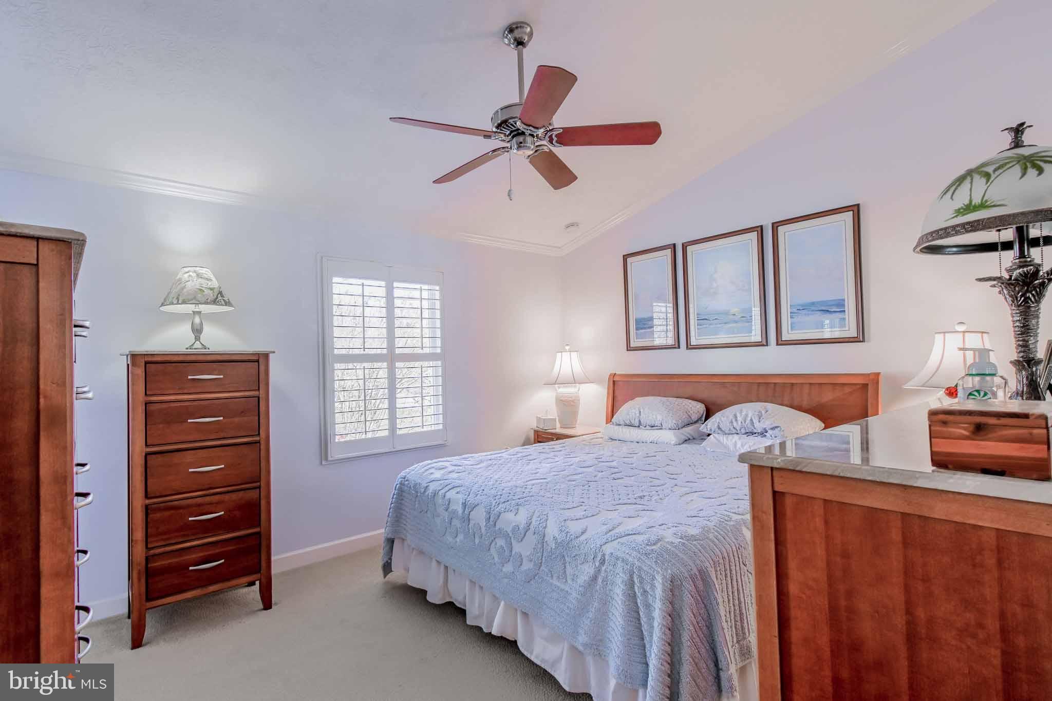 CHESTNUT HILL COVE - Residential