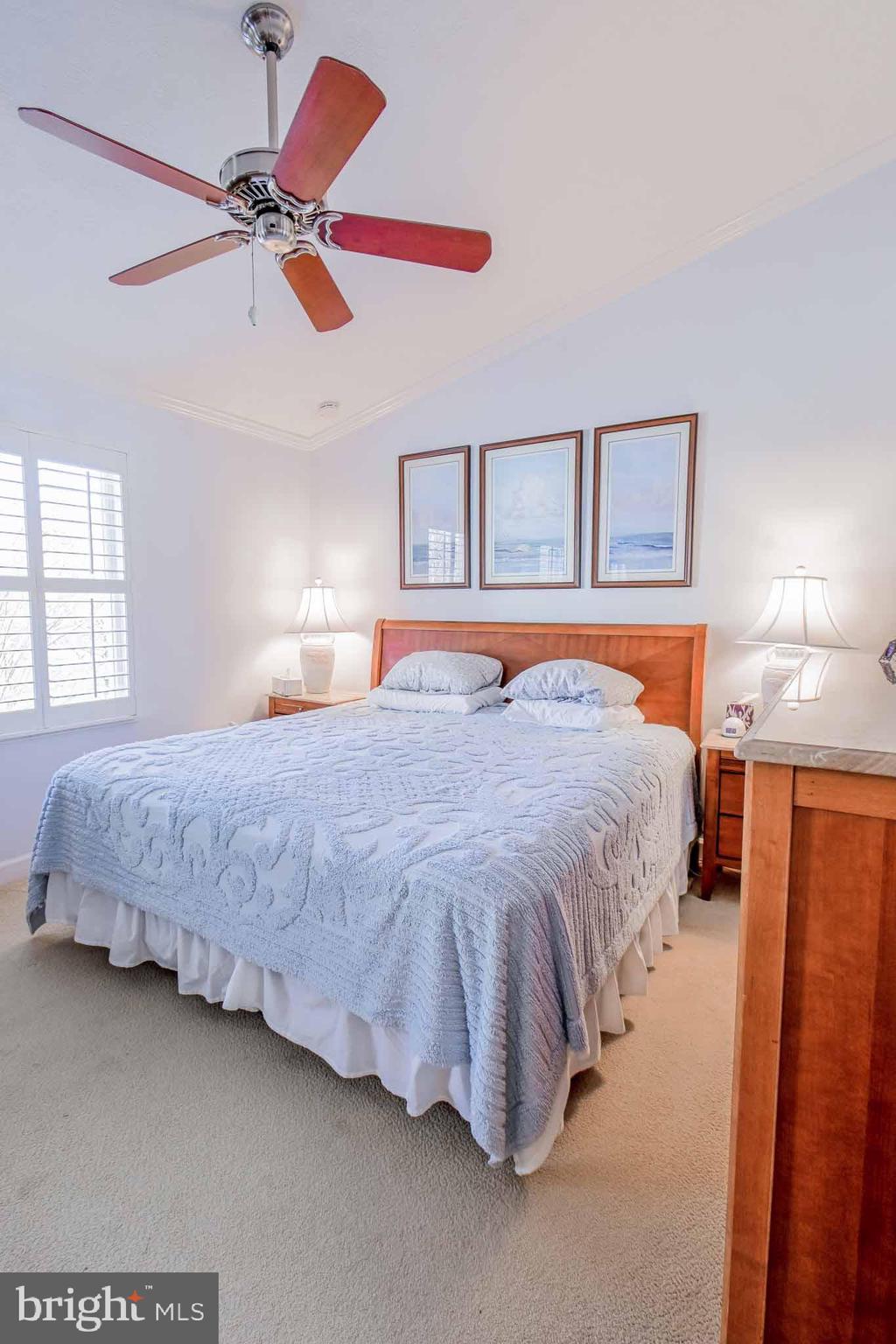 CHESTNUT HILL COVE - Residential