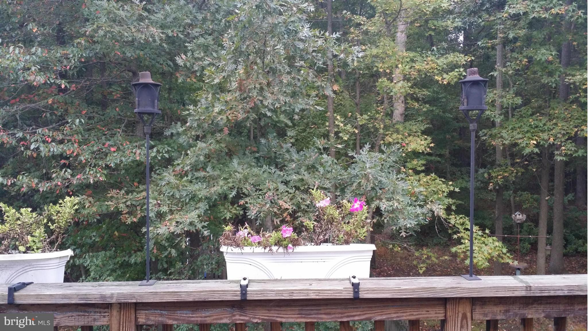 WOODLAND MANOR - Residential