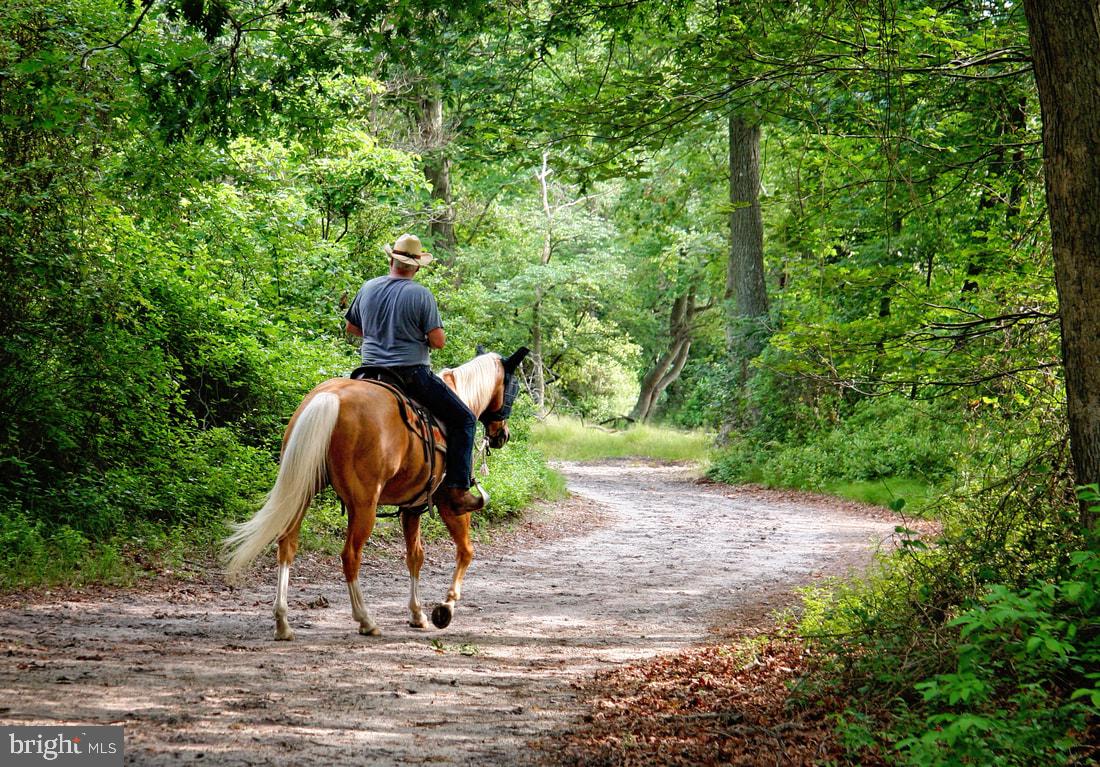 GREEN LANE - Residential