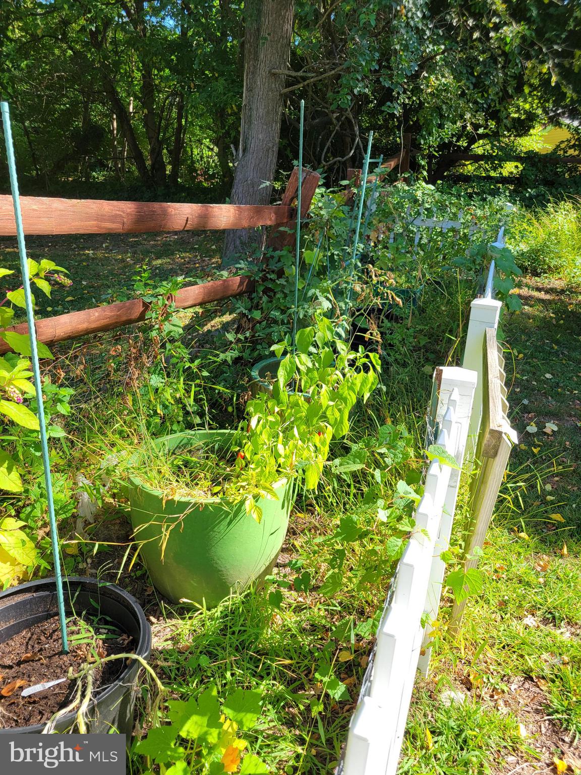 EAST MT AIRY - Residential