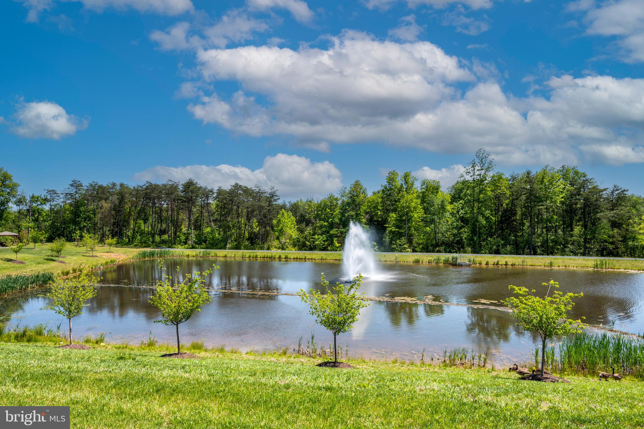 CARTER'S MILL - Residential