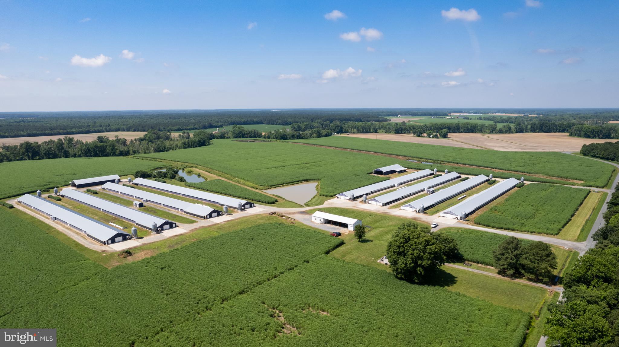 Poultry farm with 8 houses in production currently contracted with Amick. Four houses (40x500) built in 1997. Four houses (42x500) built in 2001. Two manure buildings, equipment shed, 30x30 shop with heat. Farmhouse with upgrades in good condition. Do not enter farm without appt.