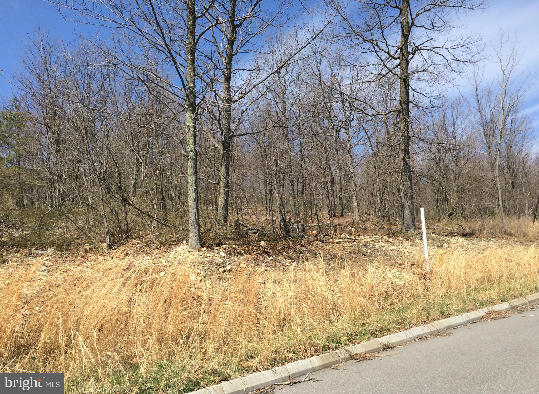 THE POINTE ON HAYSTACK - Land