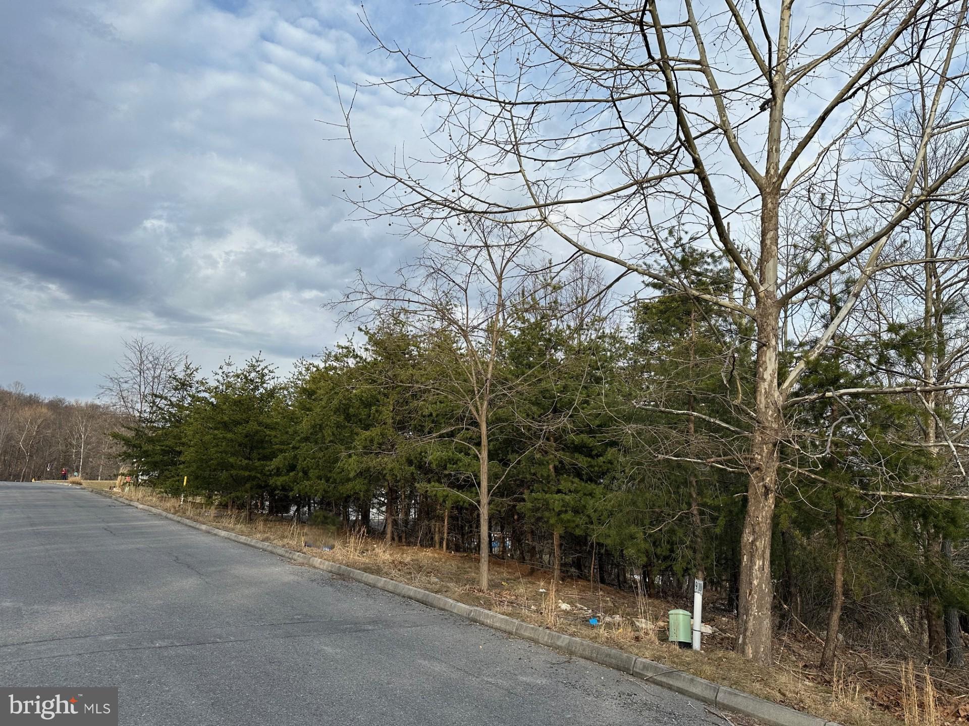 THE POINTE ON HAYSTACK - Land