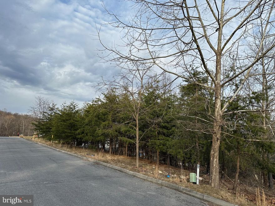 Build your new home in Cumberland's newest development The Pointe on Haystack. Spectacular views over the city from most lots. All infrastructure is in place with water, sewer, gas, electric and cable available. No HOA Fees. Conveniently located just minutes from both Cumberland and LaVale.