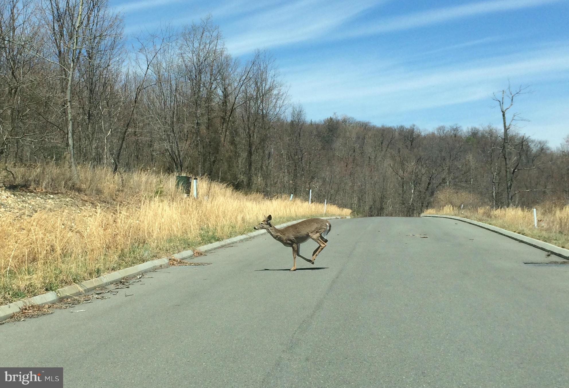 THE POINTE ON HAYSTACK - Land