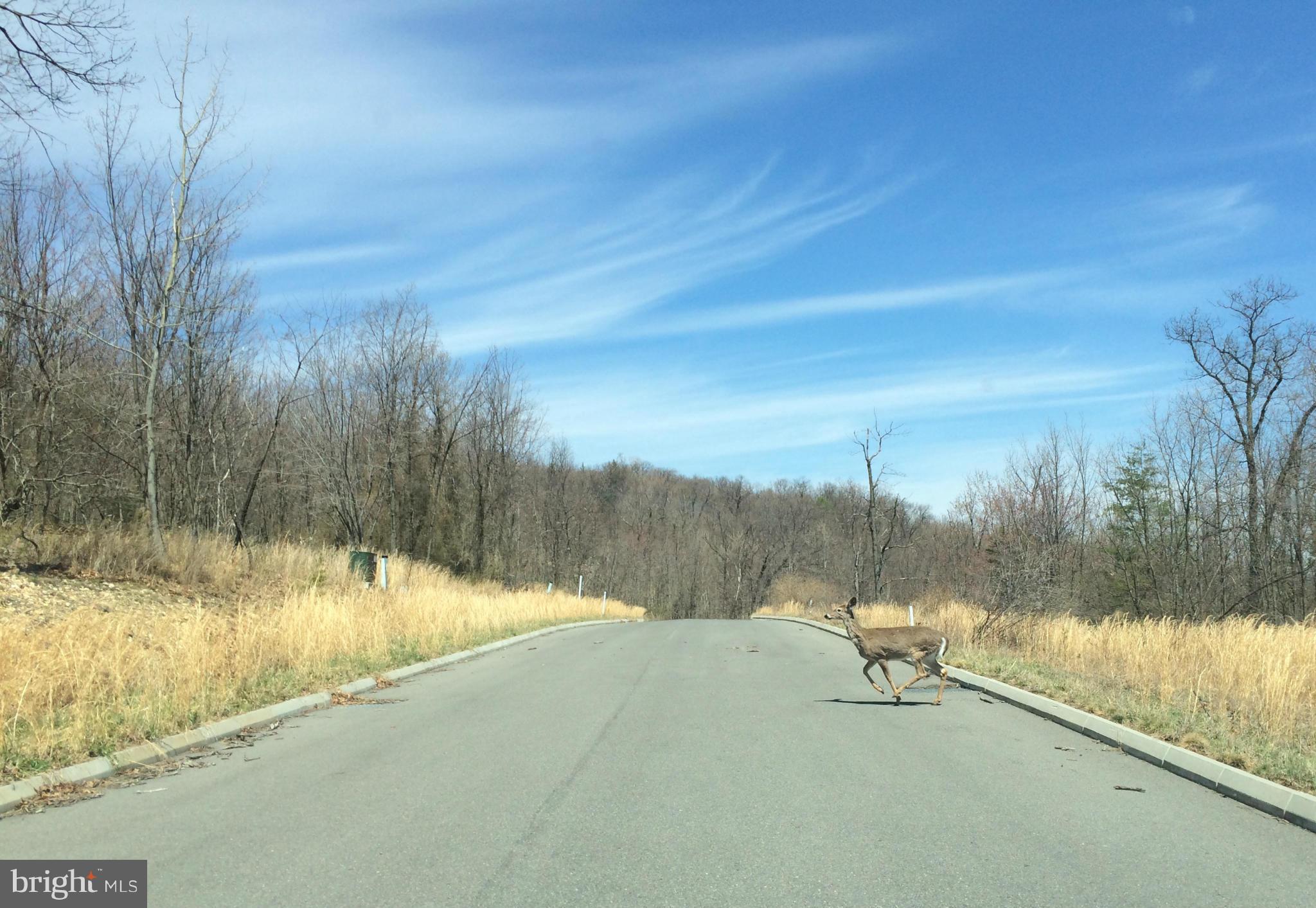THE POINTE ON HAYSTACK - Land