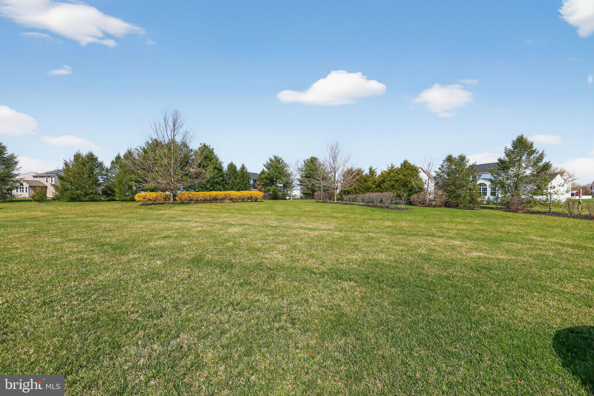 SPRING MEADOW - Residential