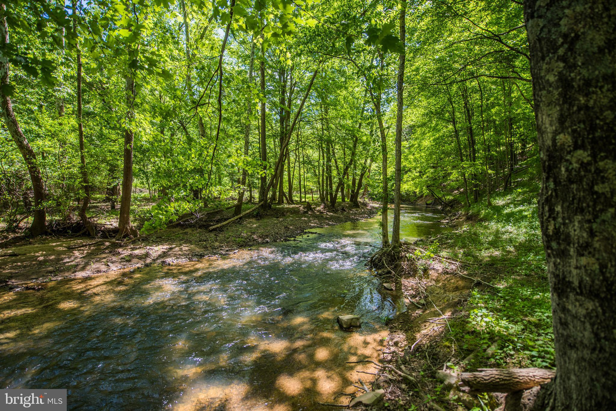 BEAVER DAM WOODS - Residential