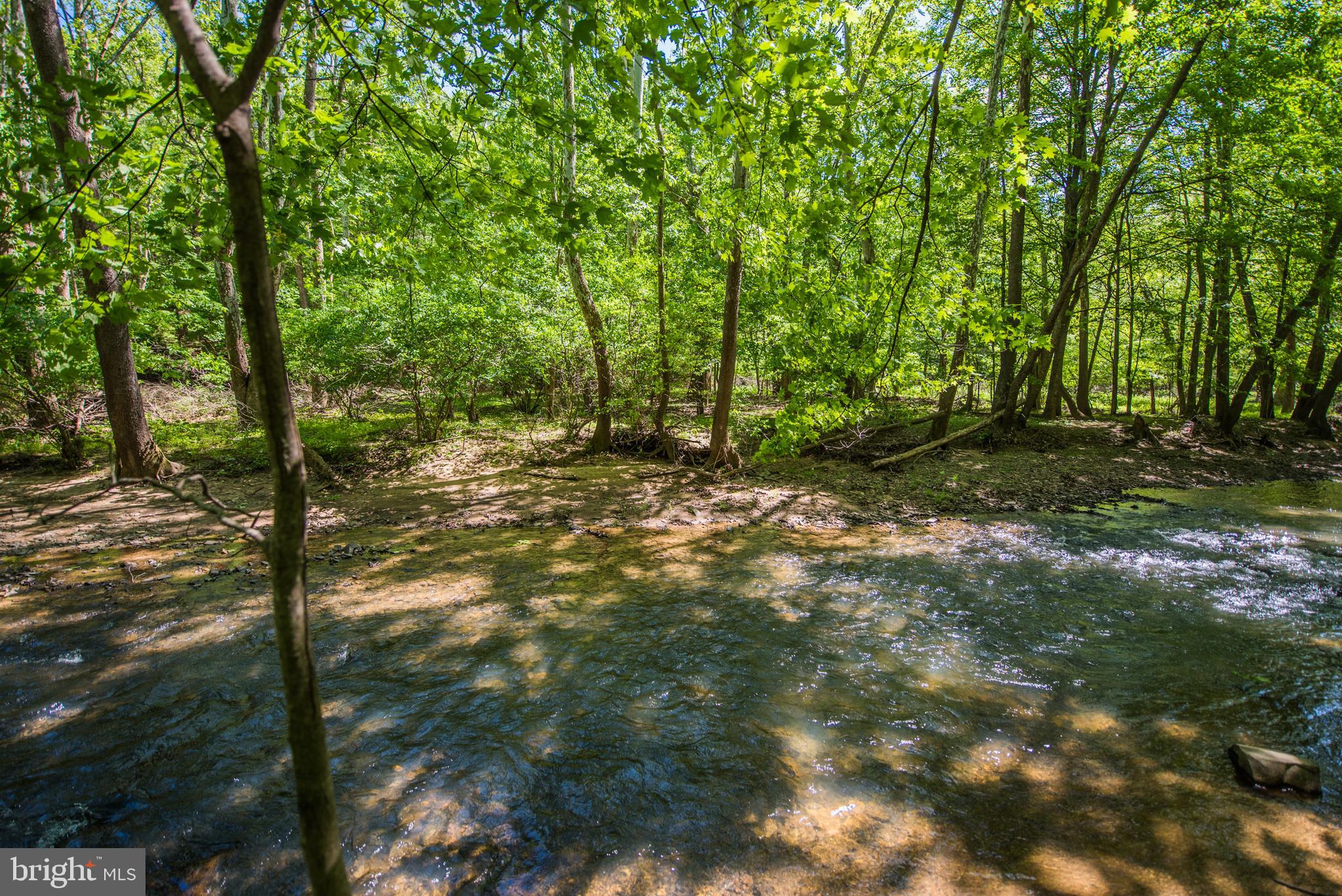 BEAVER DAM WOODS - Residential