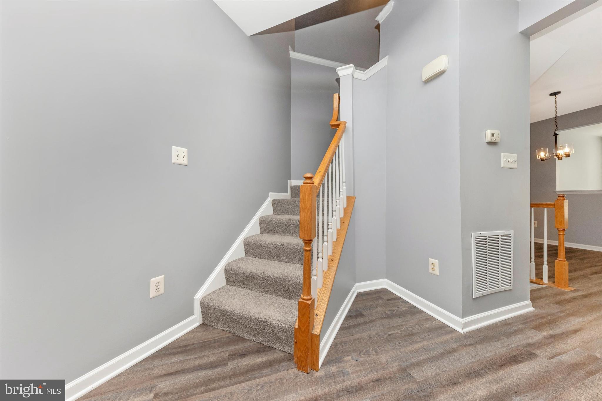 SHENANDOAH SPRINGS - Residential