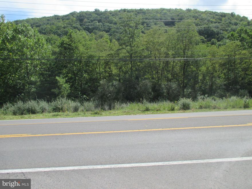 3+ ACRES OF PRIME COMMERCIAL RT 220 ROAD FRONTAGE. HIGH TRAFFIC COUNT AND GREAT VISIBILITY. ONE OF THE LARGER PARCELS AVAILABLE ON RT 220. CLOSE TO WVU MEDICINE, WALMART, AND GOLF COURSE.