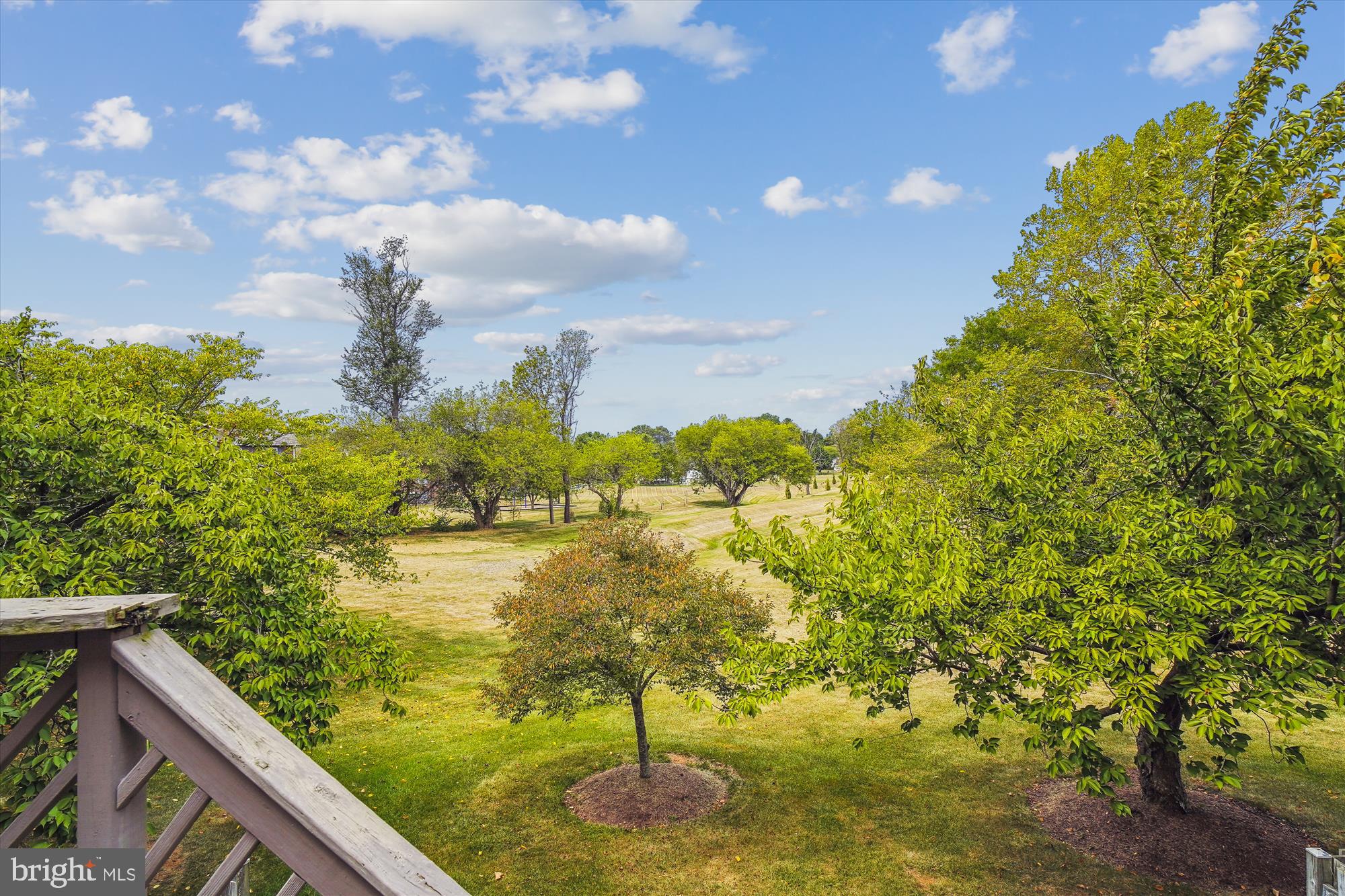 CAMBRIDGE FARMS - Residential