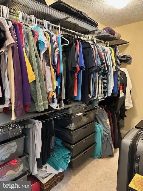 CAMBRIDGE FARMS - Residential