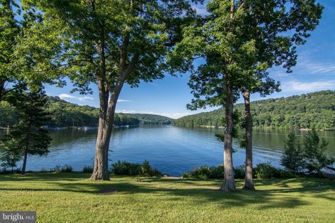 Lot 4 Point View Sub DEEP CREEK DRIVE MC HENRY MD 21541