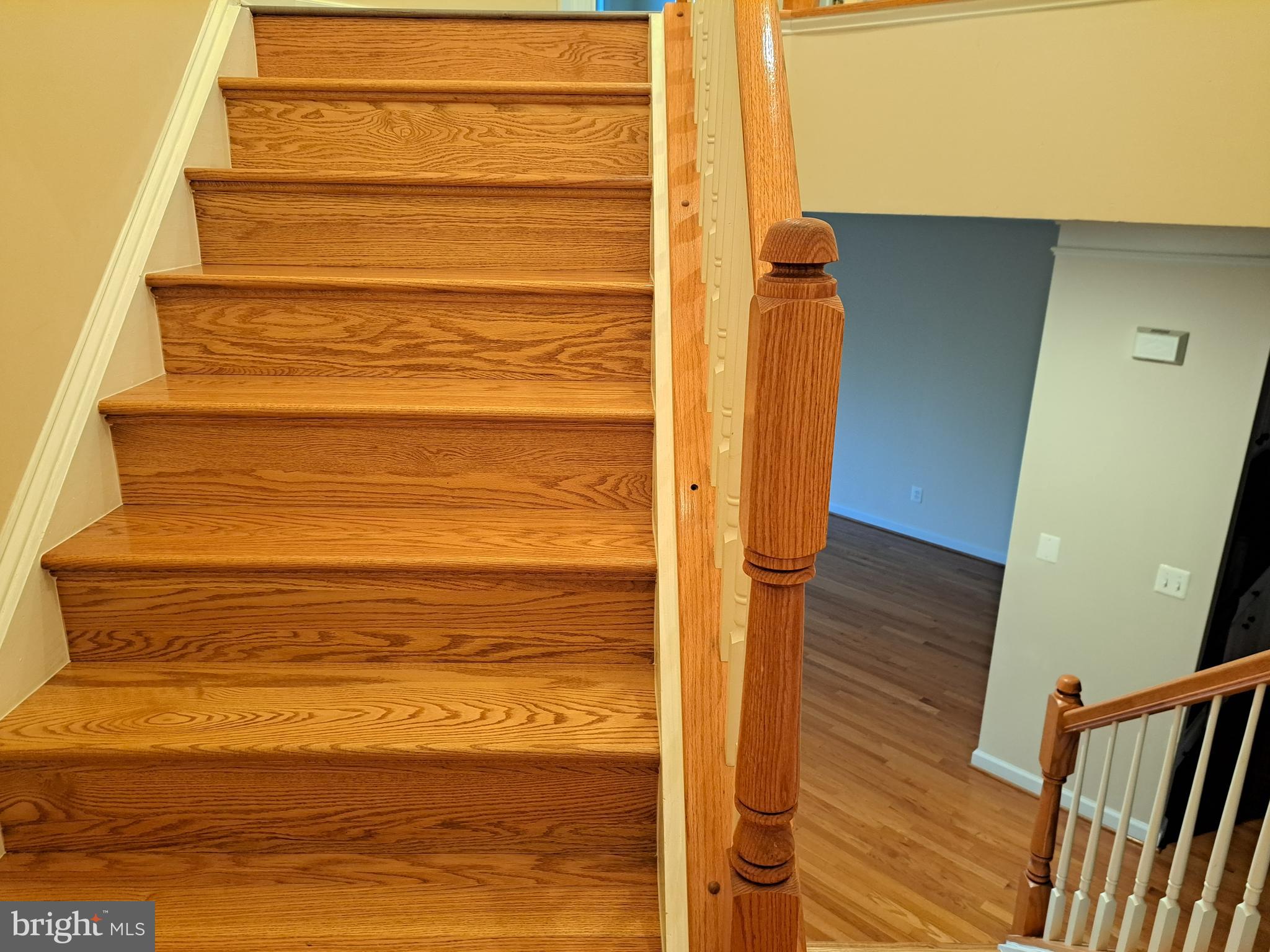 ELMWOOD - Residential Lease