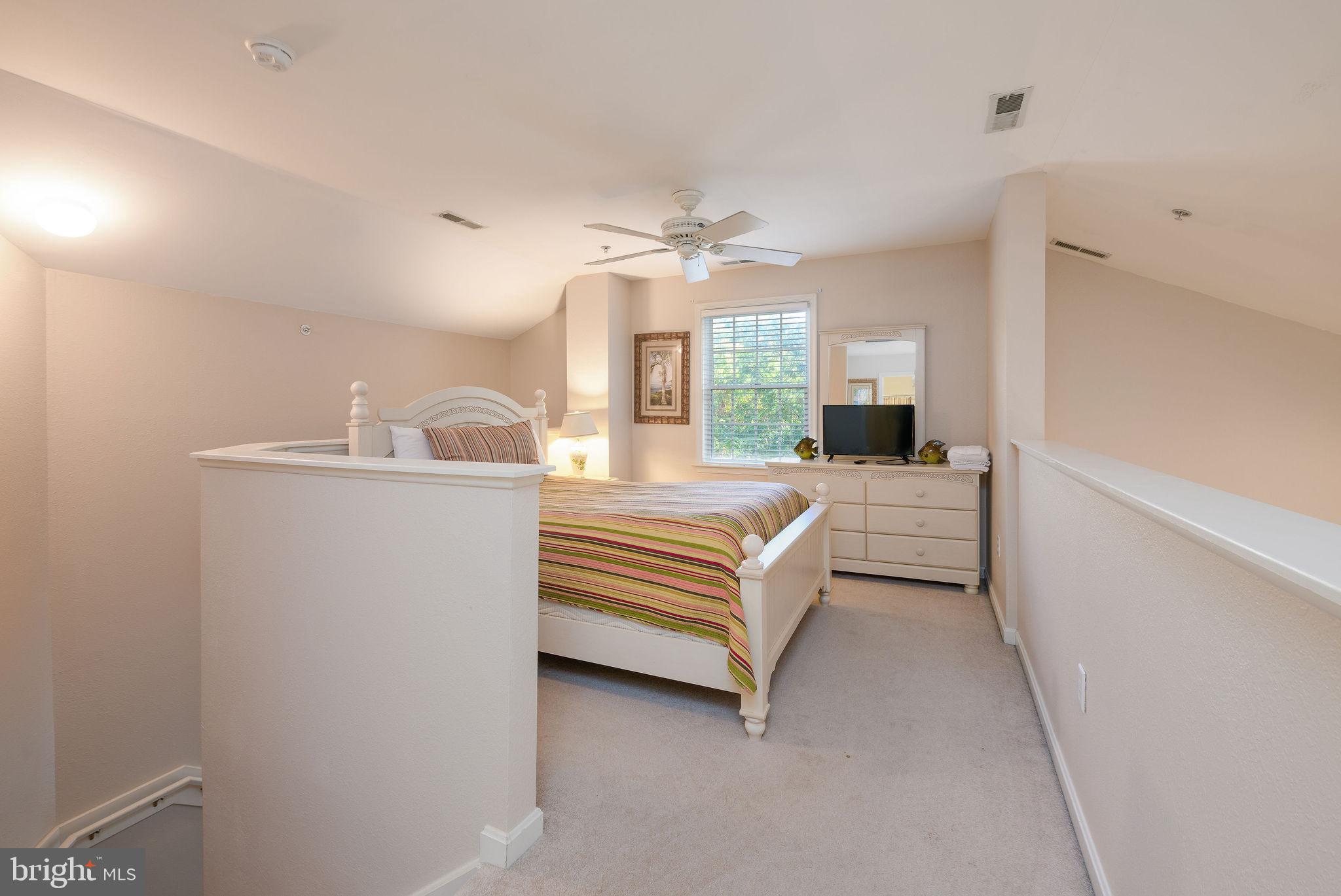 BEAR TRAP - Residential