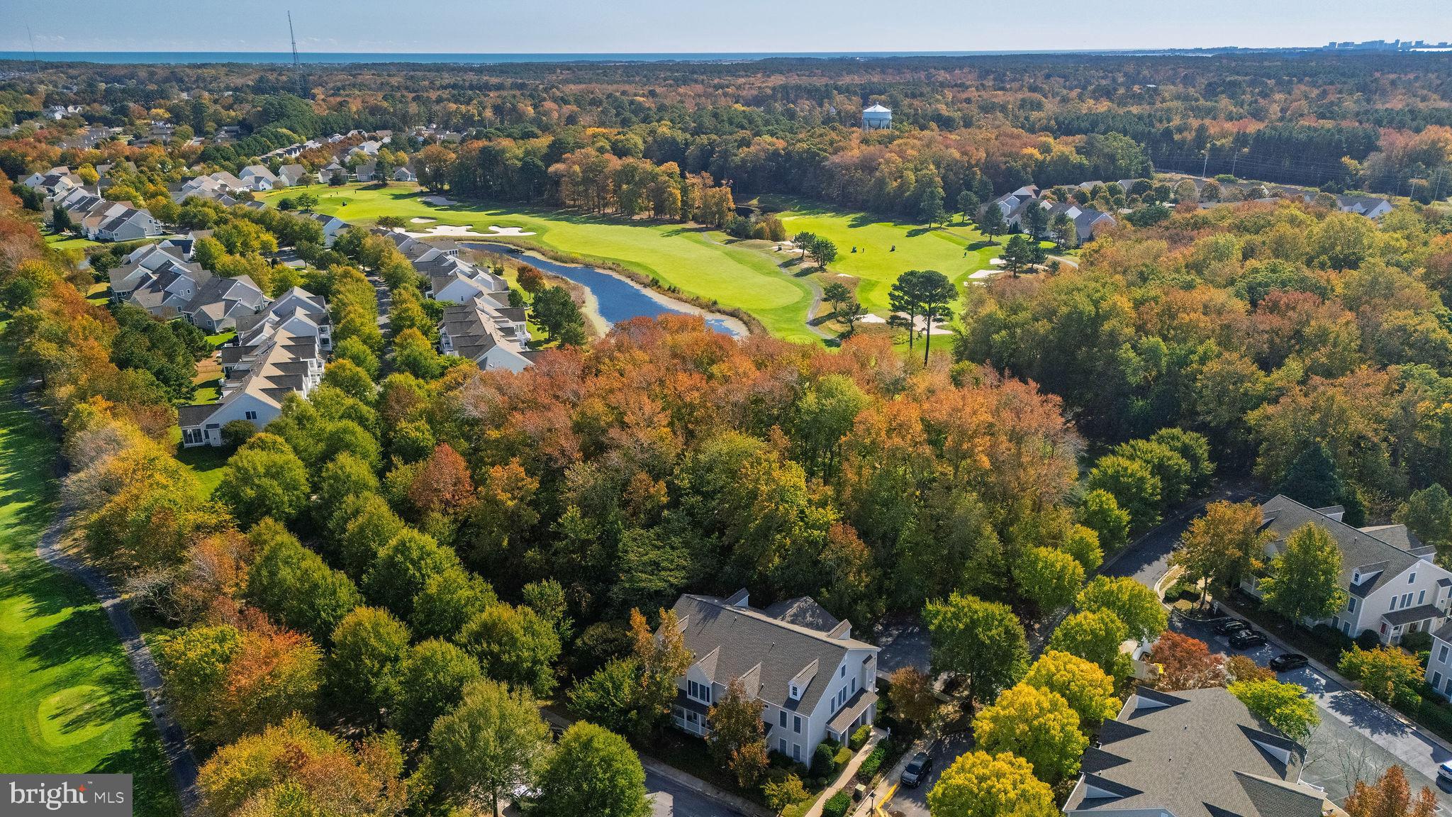 BEAR TRAP - Residential