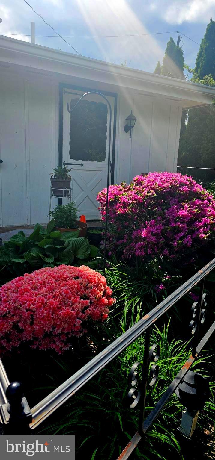 RIDLEY PARK - Residential Lease