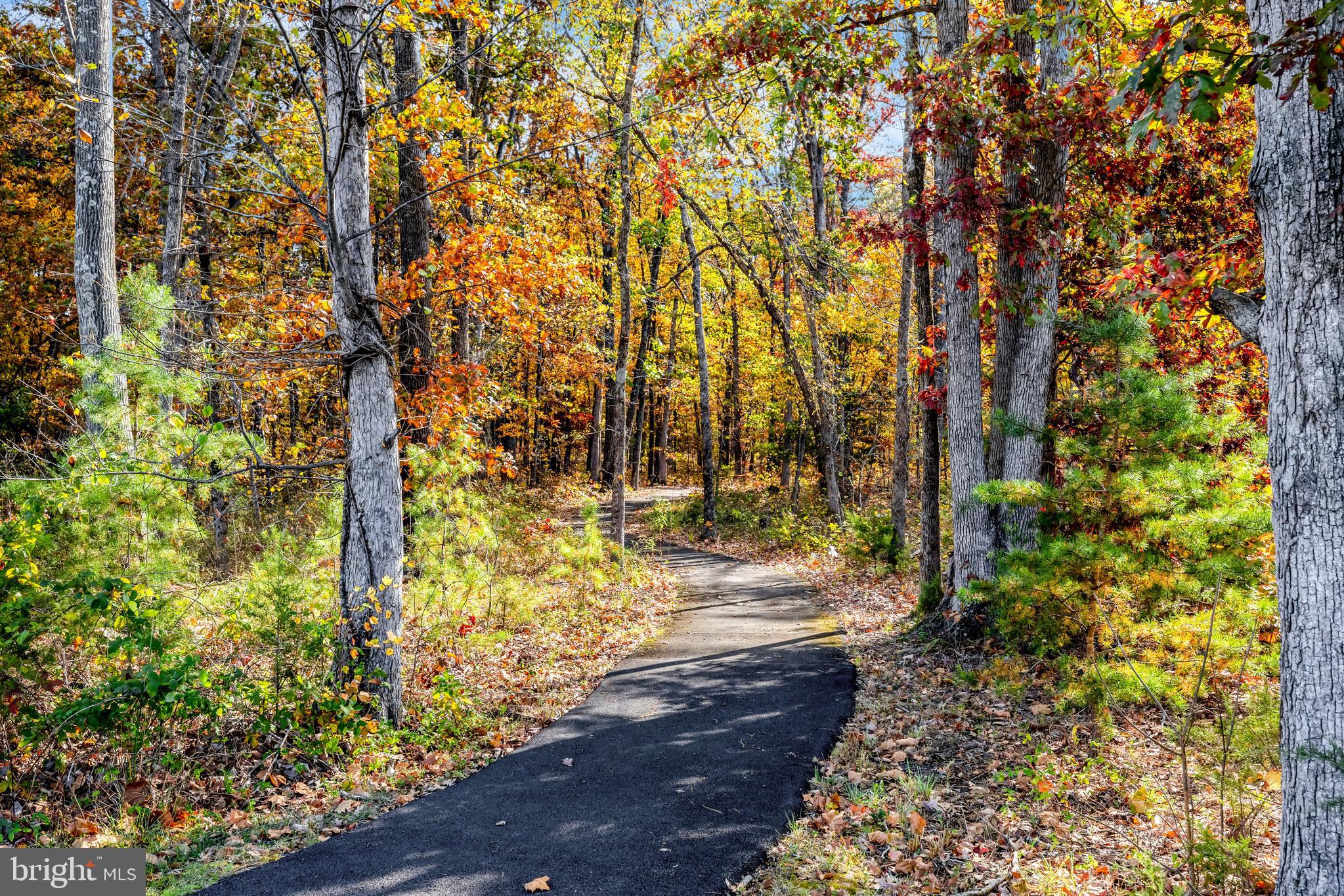 LOUDOUN CROSSING - Residential