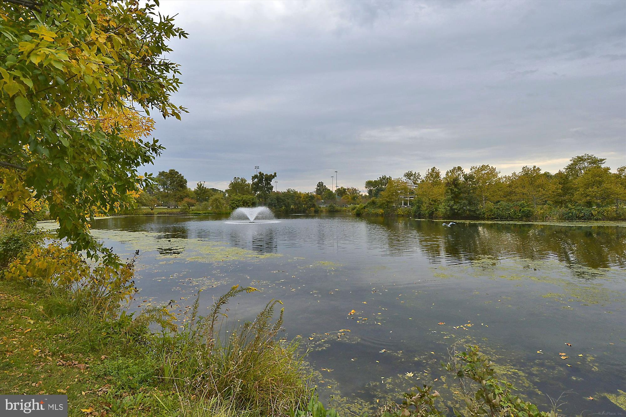 CAMERON STATION - Residential Lease