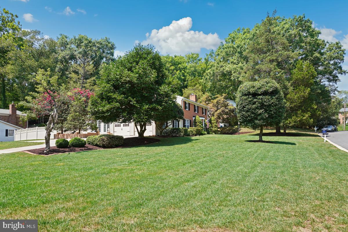 HOLLINDALE - Residential