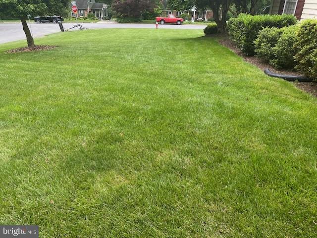 HOLLINDALE - Residential